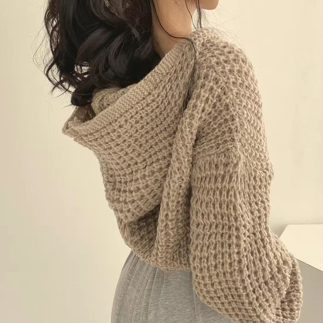 Veste Pull – Court à Capuche